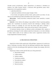 Įmonės valdymo analizė: AB "Lietuvos dujos" 10 puslapis