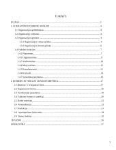 Įmonės valdymo analizė: UAB "Dotnuvos projektai" 2 puslapis