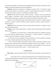 Įmonės valdymo analizė: UAB "Dotnuvos projektai" 12 puslapis