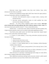 Įmonės valdymo analizė: UAB "Dotnuvos projektai" 13 puslapis