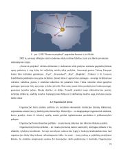 Įmonės valdymo analizė: UAB "Dotnuvos projektai" 18 puslapis