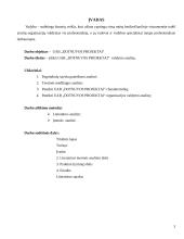Įmonės valdymo analizė: UAB "Dotnuvos projektai" 3 puslapis