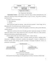 Įmonės valdymo analizė: UAB "Dotnuvos projektai" 5 puslapis