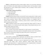 Įmonės valdymo analizė: UAB "Dotnuvos projektai" 6 puslapis