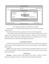 Įmonės valdymo analizė: UAB "Dotnuvos projektai" 7 puslapis