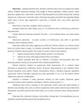 Įmonės valdymo analizė: UAB "Dotnuvos projektai" 8 puslapis