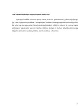 Konfliktai ir jų priežastys 13 puslapis