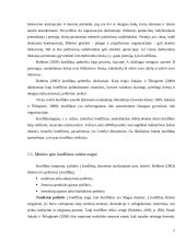 Konfliktai ir jų priežastys 5 puslapis