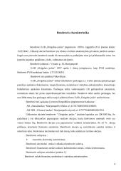 Įmonės veiklos analizė: buhalterinės paslaugos UAB "Dvigubas įrašas" 2 puslapis