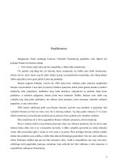 Konstitucija 3 puslapis