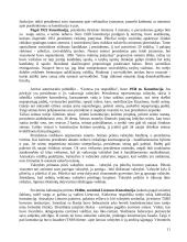 Konstitucinė teisės raida Lietuvoje 11 puslapis