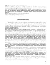 Konstitucinė teisės raida Lietuvoje 3 puslapis