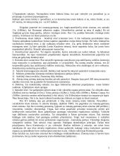 Konstitucinė teisės raida Lietuvoje 5 puslapis