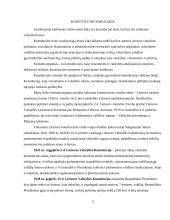 Konstitucingumas 3 puslapis