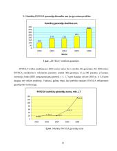 Įmonės veiklos ypatumai Lietuvoje: UAB "Investicijų ir verslo garantijos" 13 puslapis