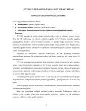 Įmonės veiklos ypatumai Lietuvoje: UAB "Investicijų ir verslo garantijos" 3 puslapis