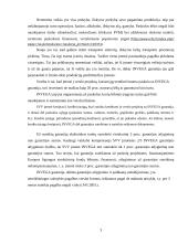 Įmonės veiklos ypatumai Lietuvoje: UAB "Investicijų ir verslo garantijos" 4 puslapis