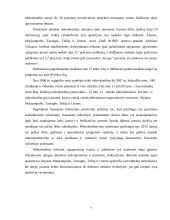 Įmonės veiklos ypatumai Lietuvoje: UAB "Investicijų ir verslo garantijos" 8 puslapis