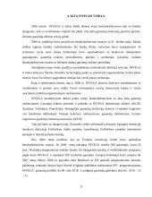 Įmonės veiklos ypatumai Lietuvoje: UAB "Investicijų ir verslo garantijos" 9 puslapis