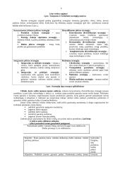 Įmonės veiklos metinio plano apskaičiavimas bei analizė 8 puslapis