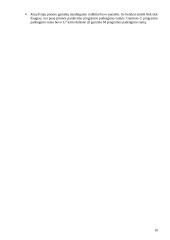 Bazinis įmonės veiklos planavimas 10 puslapis