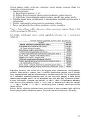 Bazinis įmonės veiklos planavimas 12 puslapis