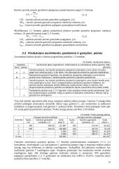 Bazinis įmonės veiklos planavimas 14 puslapis