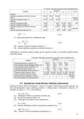 Bazinis įmonės veiklos planavimas 15 puslapis