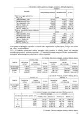 Bazinis įmonės veiklos planavimas 20 puslapis