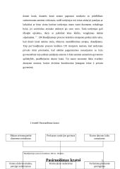 Krata baudžiamajame procese 5 puslapis