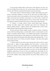 Kūdikystės amžius 11 puslapis
