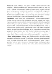 Kūdikystės amžius 13 puslapis
