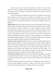 Kūdikystės amžius 7 puslapis
