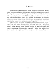 Kūno kultūra darželyje 9 puslapis