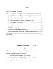 Įmonės veiklos metinio plano sudarymas 2 puslapis