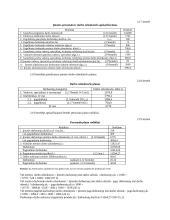 Įmonės veiklos metinio plano sudarymas 13 puslapis