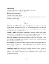 Lietuvos apgyvendinimo įstaigų statistinis tyrimas 4 puslapis