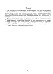 Įmonės apžvalga ir veiklos planavimas 12 puslapis