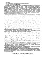 Įmonės apžvalga ir veiklos planavimas 3 puslapis