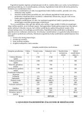 Įmonės apžvalga ir veiklos planavimas 4 puslapis