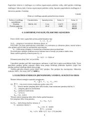 Įmonės apžvalga ir veiklos planavimas 5 puslapis