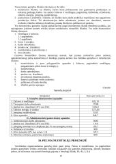 Įmonės apžvalga ir veiklos planavimas 9 puslapis