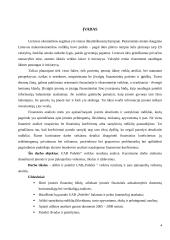 Įmonės veiklos rezultatų ir juos įtakojančių veiksnių analizė: UAB "Pušelė" 4 puslapis