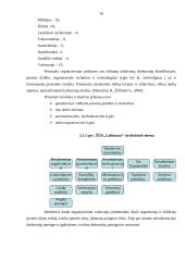 Įmonės veiklos sritis, funkcijos, pelningumo rodikliai: pieno gavyba ŽŪB "Labūnava" 16 puslapis