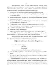 Įmonės veiklos sritis, funkcijos, pelningumo rodikliai: pieno gavyba ŽŪB "Labūnava" 6 puslapis