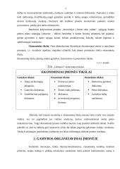 Įmonės veiklos sritis, funkcijos, pelningumo rodikliai: pieno gavyba ŽŪB "Labūnava" 7 puslapis