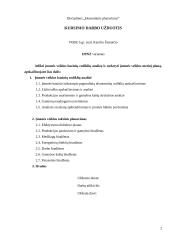 Įmonės veiklos taktinis planavimas 2 puslapis