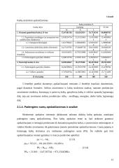 Įmonės veiklos taktinis planavimas 13 puslapis