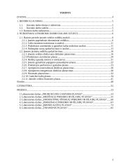 Įmonės veiklos taktinis planavimas 3 puslapis