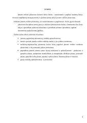 Įmonės veiklos taktinis planavimas 4 puslapis